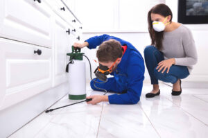 Read more about the article Pest Control Delhi